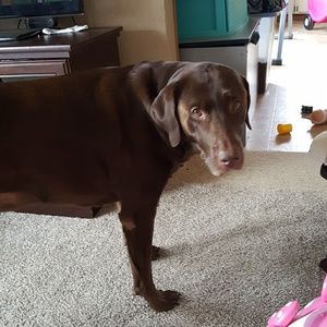 Meet your Posher, Mindy